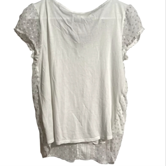 LC Lauren Conrad Women's Blouse Top Cap Sleeve Polkadot Classic Size Medium - Picture 2 of 5